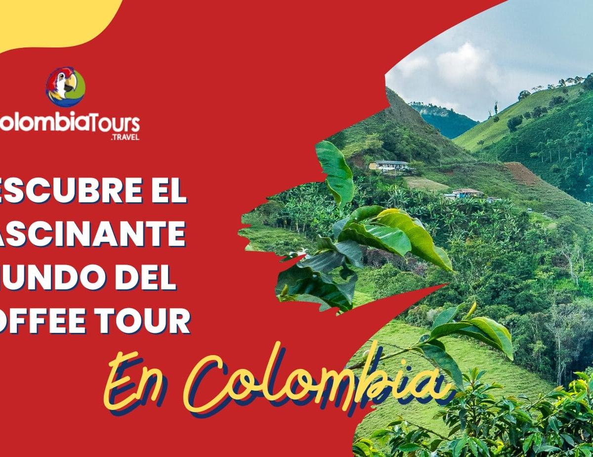 Descubre el Fascinante Mundo del Coffee Tour\nen Colombia