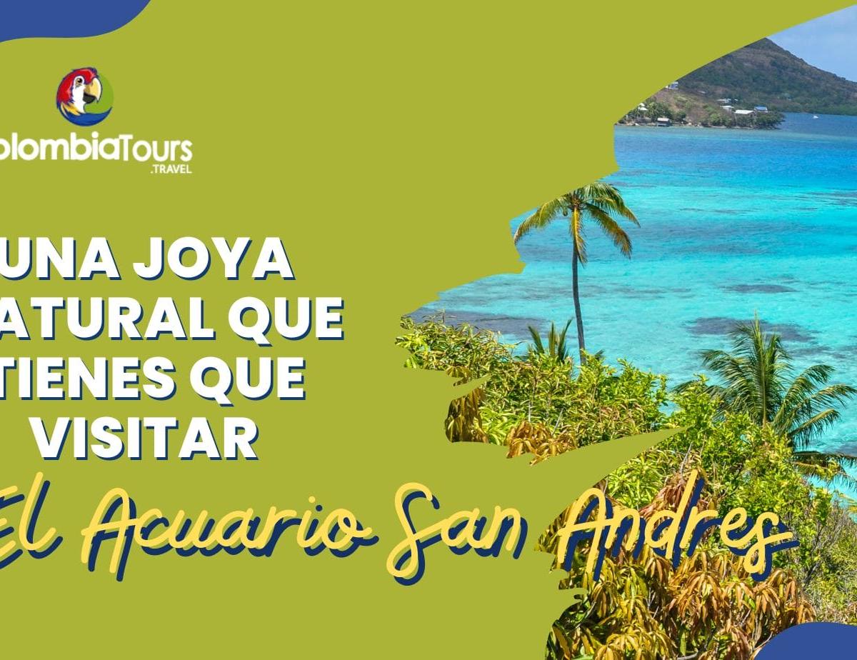 El Acuario San Andres: una joya natural que tienes que visitar