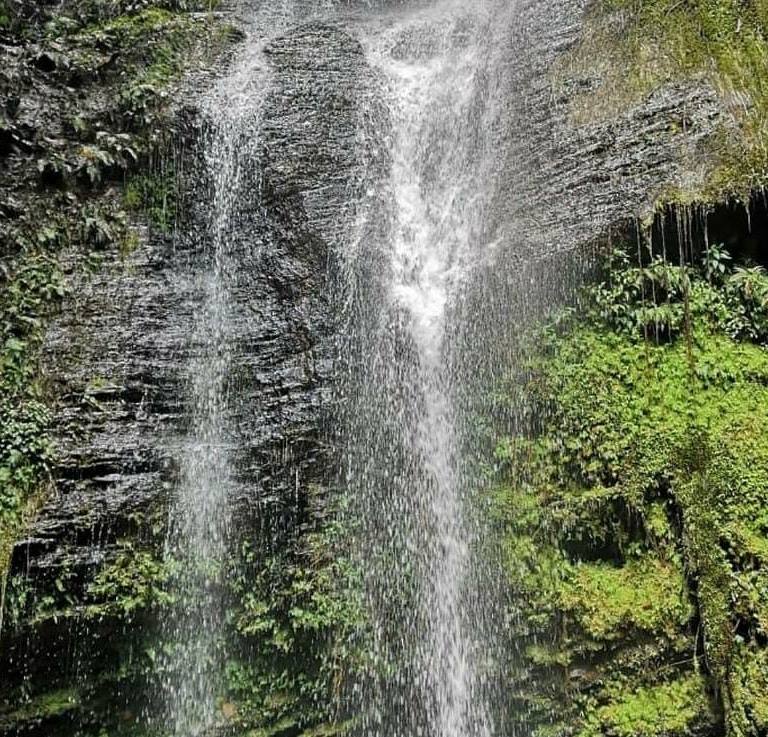 cali colombia - valle del cauca - servicio