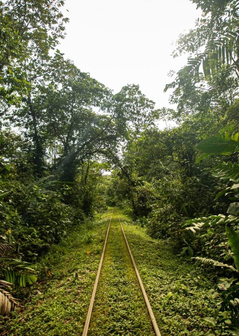 rutas - fin 