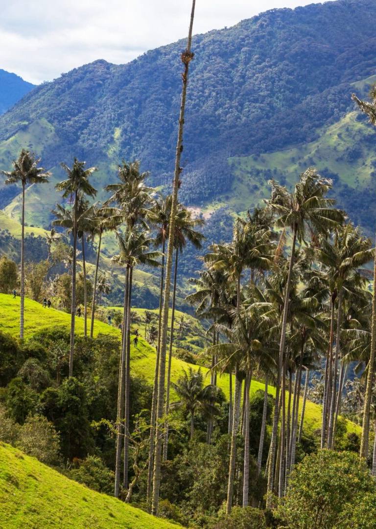 viajar a colombia