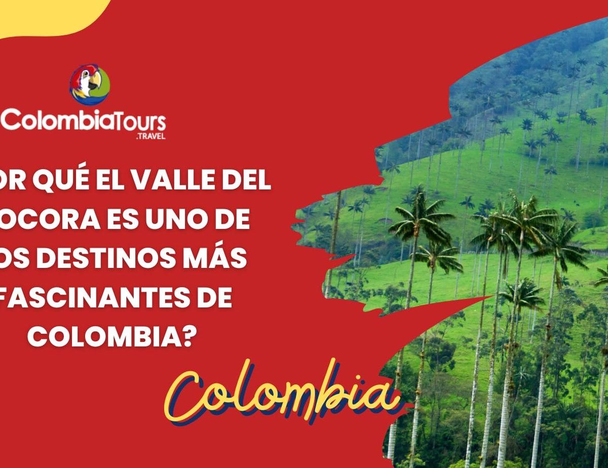 ¿Por qué el Valle del Cocora es uno de los destinos más fascinantes de Colombia?