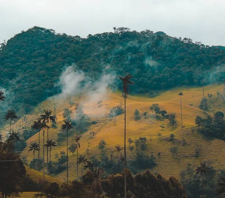 Montanhas e palmeiras em paisagem natural da Colômbia