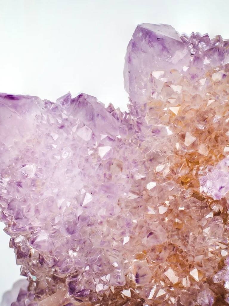 Macarenia clavigera im geschützten Flussbett von Caño Cristales