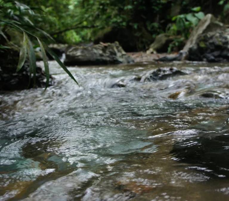 Tropischer Fluss in Meta Kolumbien