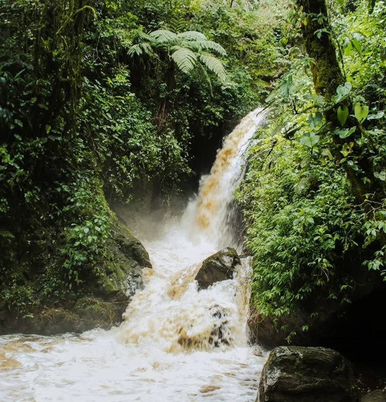 Paisajes y experiencias de colombia en Colombia para planear tours, entradas y experiencias guiadas