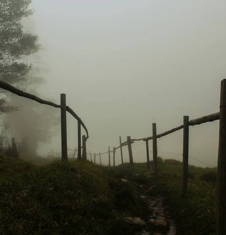 Paisajes y experiencias de colombia en Colombia para planear temporada alta y baja