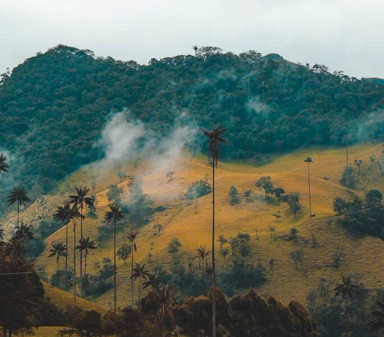 Paisajes y experiencias de colombia en Colombia para planear rutas sugeridas por Colombia