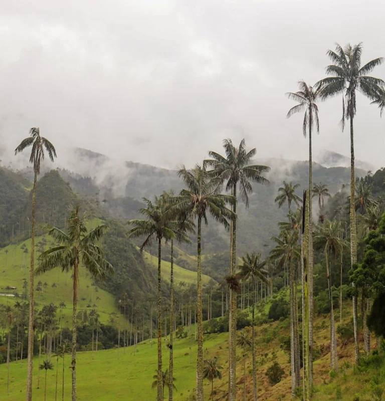 Paisajes y experiencias de colombia en Colombia para planear cotización y paquetes personalizados