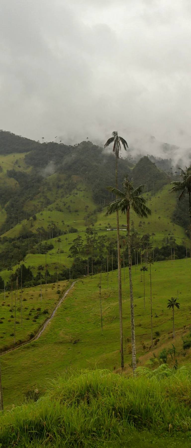 Paisajes y experiencias de colombia en Colombia para planear Medellín, Guatapé y Antioquia