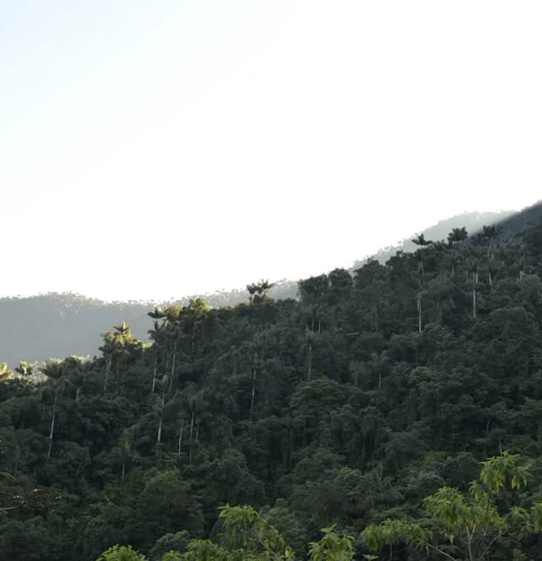 Paisajes y experiencias de colombia en Colombia para planear costos por ciudad y región