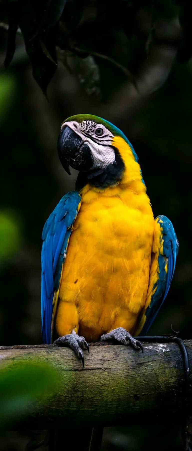 Paisajes y experiencias de colombia en Colombia para planear tours, entradas y experiencias guiadas