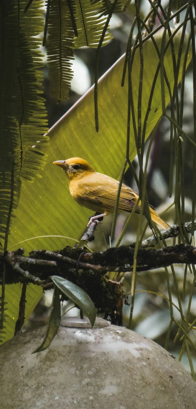 Paisajes y experiencias de colombia en Colombia para planear temporada alta y baja