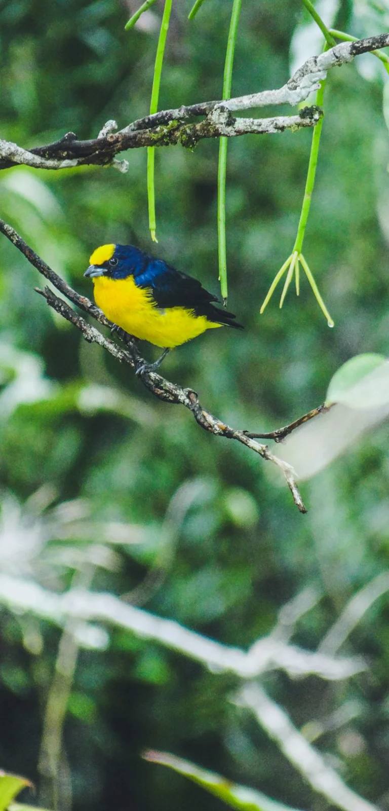 Paisajes y experiencias de colombia en Colombia para planear cotización y paquetes personalizados