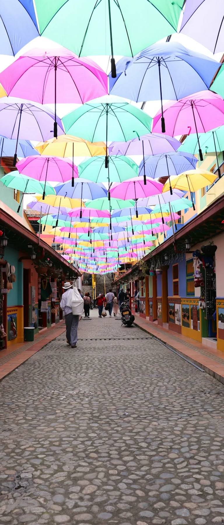 Paisajes y experiencias de colombia en Colombia para planear costos por ciudad y región