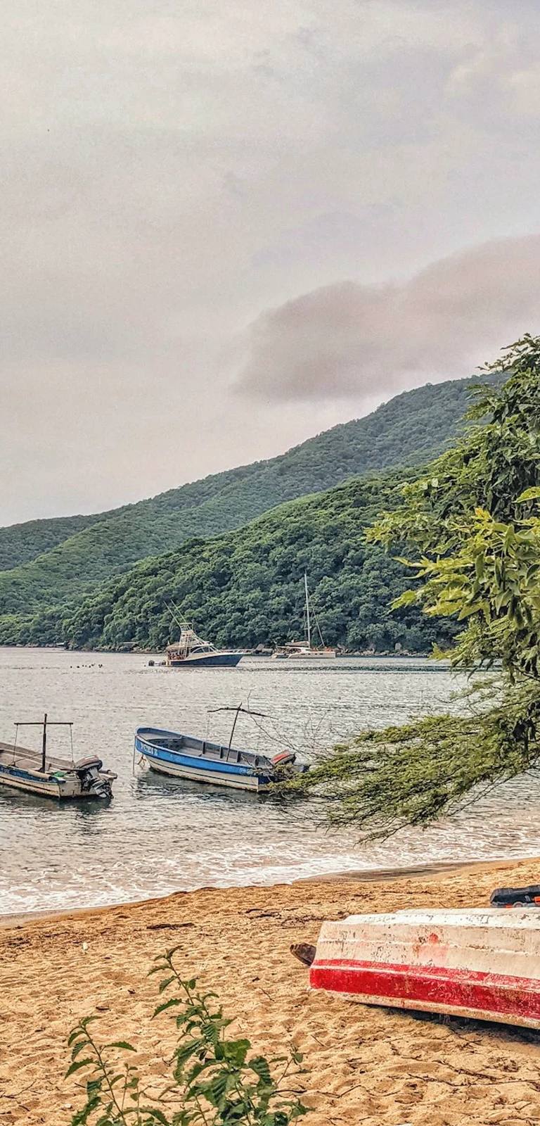 Paisajes y experiencias de colombia en Colombia para planear vuelos internos, buses y traslados