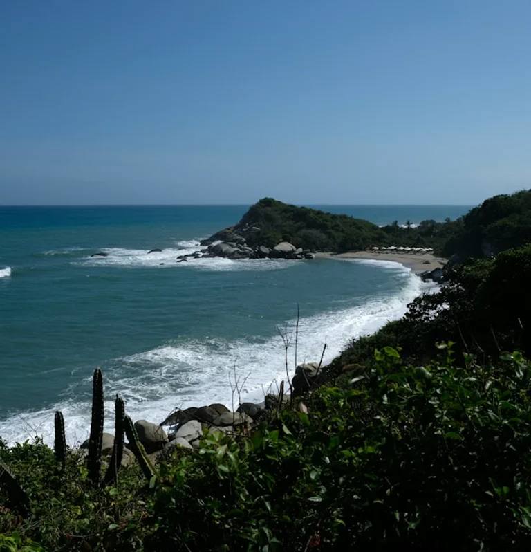 Amazonas en Colombia para calcular Bogotá y conexiones aéreas al planear un viaje
