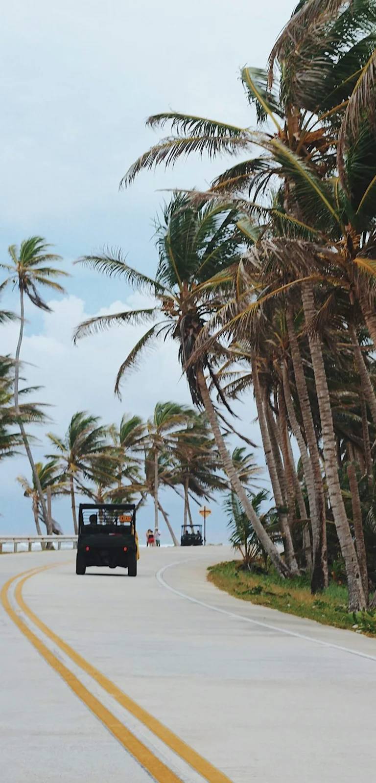 Tayrona en Colombia para calcular tours, entradas y experiencias guiadas al planear un viaje